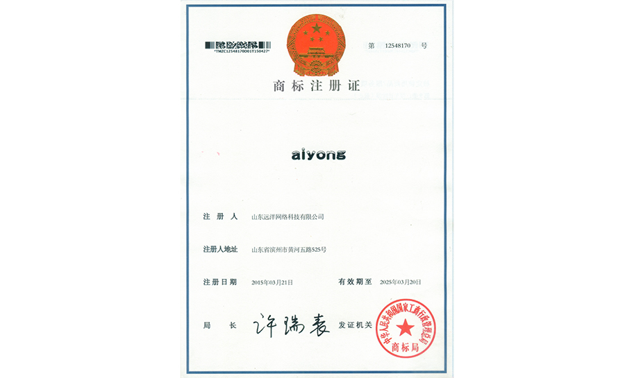 aiyong商标注册证